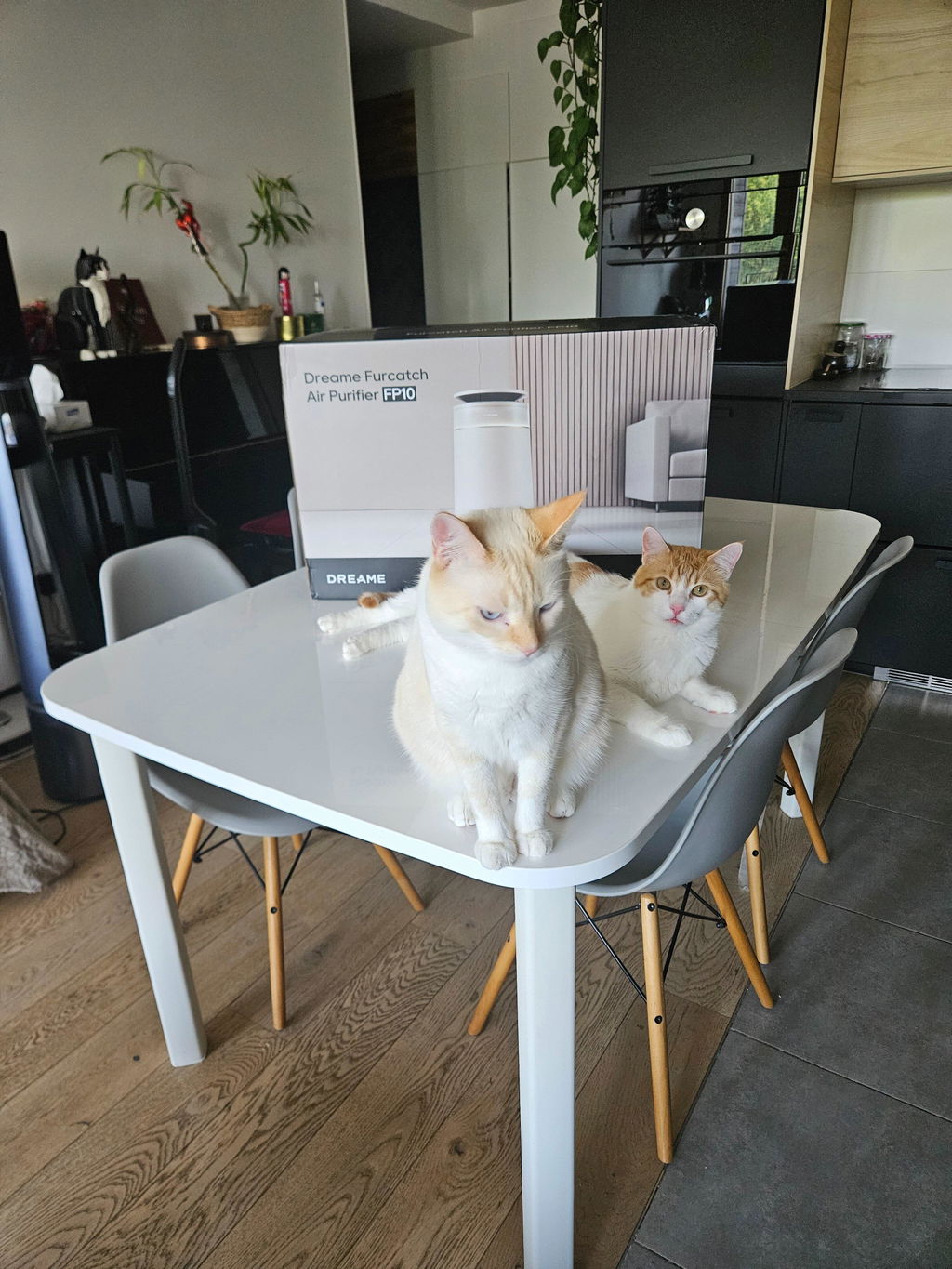 Poussière en moins