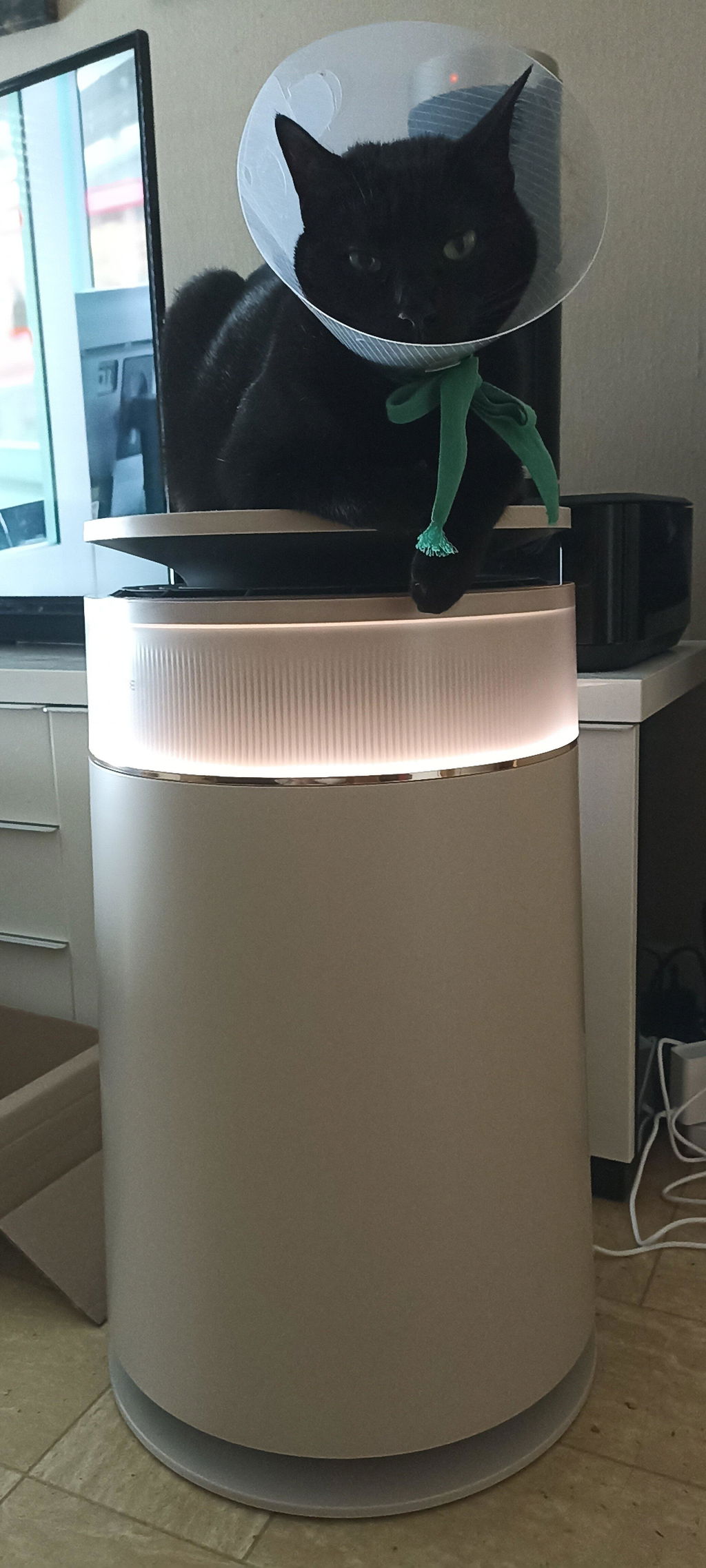 Discret