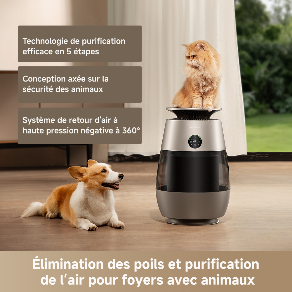 dreame-ap10-purificateur-air-animaux-5-tapes image 3