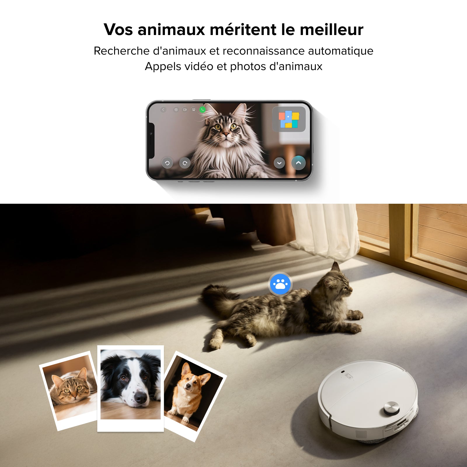 roborock-qrevo-curvx-robot-laveur-ultrafin-22000-pa image 8
